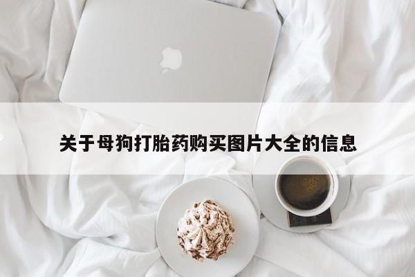 米非米索官方旗舰店关于母狗打胎药购买图片大全的信息